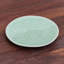 Handmade Ceramic Dinner Plate