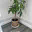 Customer photo 4 of 5