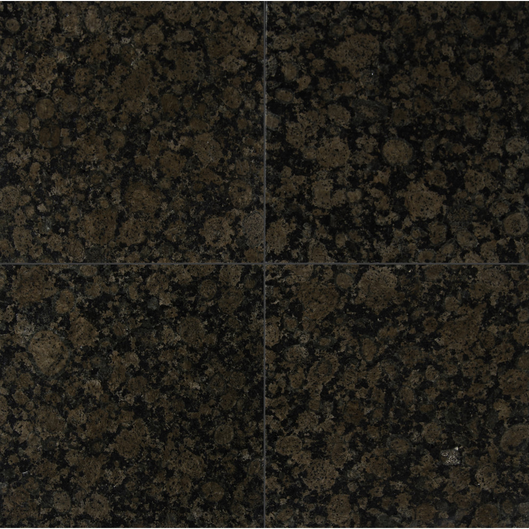 Baltic Brown 12 in.x 12 in. Polished Granite Floor and Wall Tile Ackland
