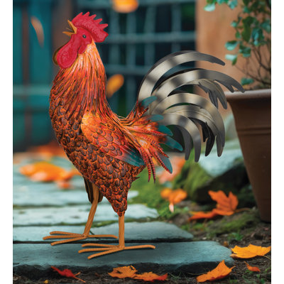 Cochin Cooster Decor 21 "- HAUT