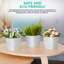 Abellas-Bauzo Pot Planter-1422744770