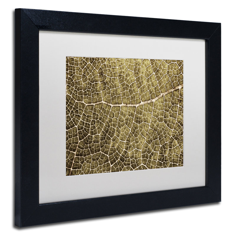 « sépia leaf texture », reproduction de photo sur toile encadrée, H 11 po x l 14 po x P 0,5 po, Noir