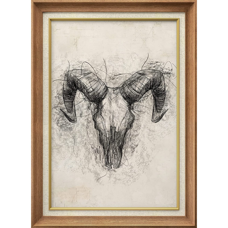 Ram, crâne, squelette, portrait, animaux, désert, Naturel