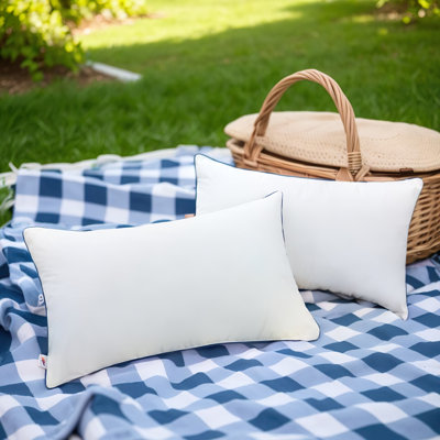 2 Outdoor Pillow Insert