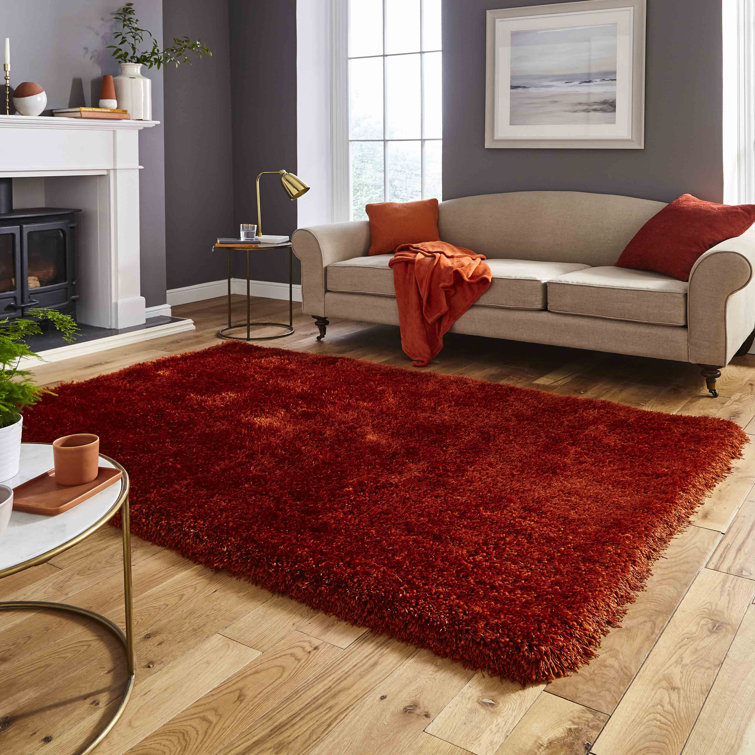 Hetzel area rug Hand Tufted Rectangle Terracotta