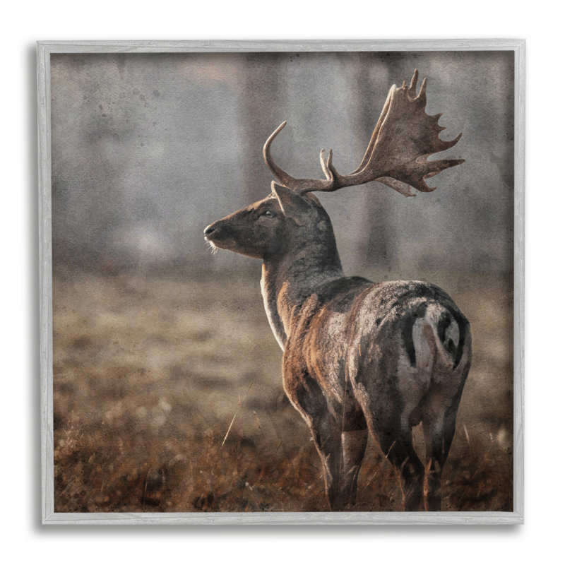 «Moose In Woodland» par LSR Design Studio, Estampe numérique Farmhouse, H 17 po x l 17 po x P 1,5 po