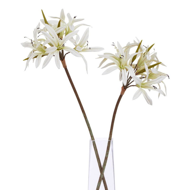 Anastasija Arrangement, White