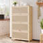 4 - Door Rectangle Accent Cabinet