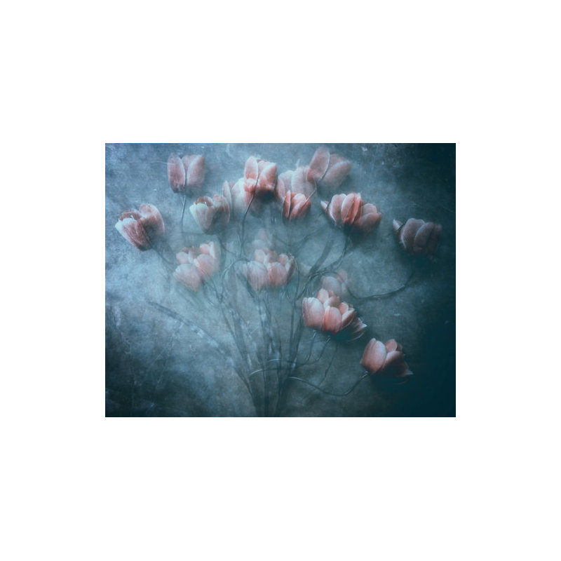 Wrapped Canvas Print, 50.8cm H x 76.2cm W