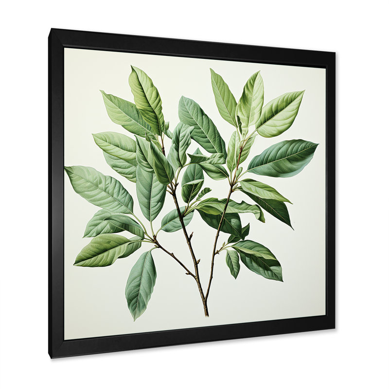 Menthe fraîche, minimalisme, feuilles, sérénité I, H 24 po x l 24 po x P 1 po, Cadre simple noir