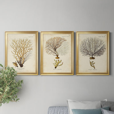 Esper Sea Fans IV - ensemble de 3 peintures sur toile encadrées