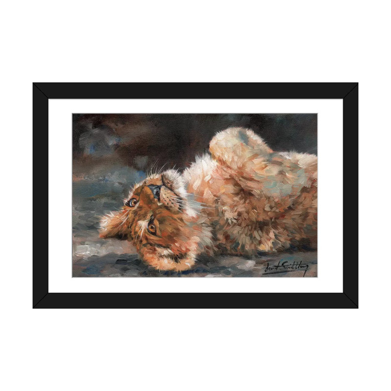 «Lion Cub on Back» par David Stribble - impression sur toile tendue, H 16 po x l 24 po x P 1 po, Papier d'art encadré noir