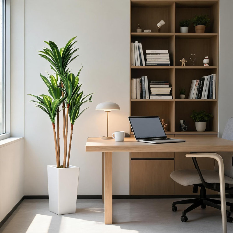 147cm Plant