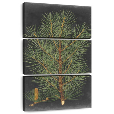 Harnek Dramatic Pine II