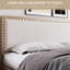 Mariangeliz Upholstered Bed-1052124690-1052124691