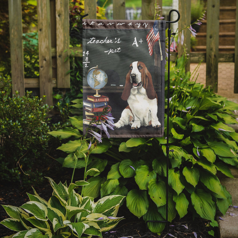 Drapeau de jardin en polyester à 2 côtés Graziello Bichon Frise Do It Better 1 x 0,11 pi, Basset hound chouchou du prof