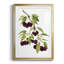 Watercolor Cherries, reproduction encadrée de qualité supérieure - prête à être accrochée-2137189918-2137189888