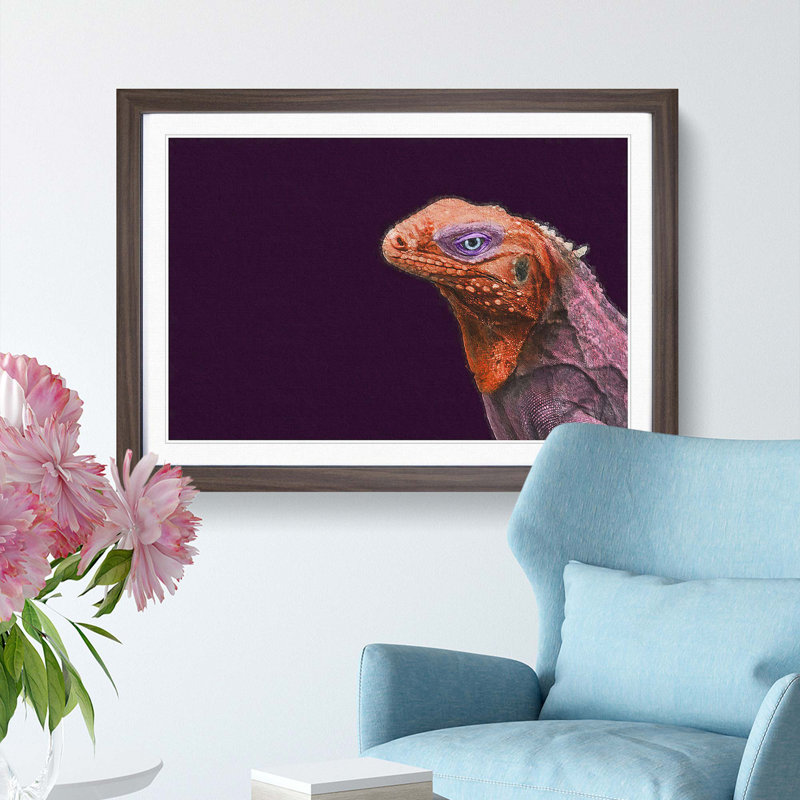 Red & Purple Iguana Lizard - Picture Frame Photograph Print, 27cm H x 36cm W x 2cm D, Walnut Framed