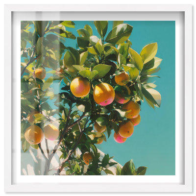 Breezy Citrus Tree Shadowbox Print Vintage Italian Art by Notoriart, White Frame, 12 x 12