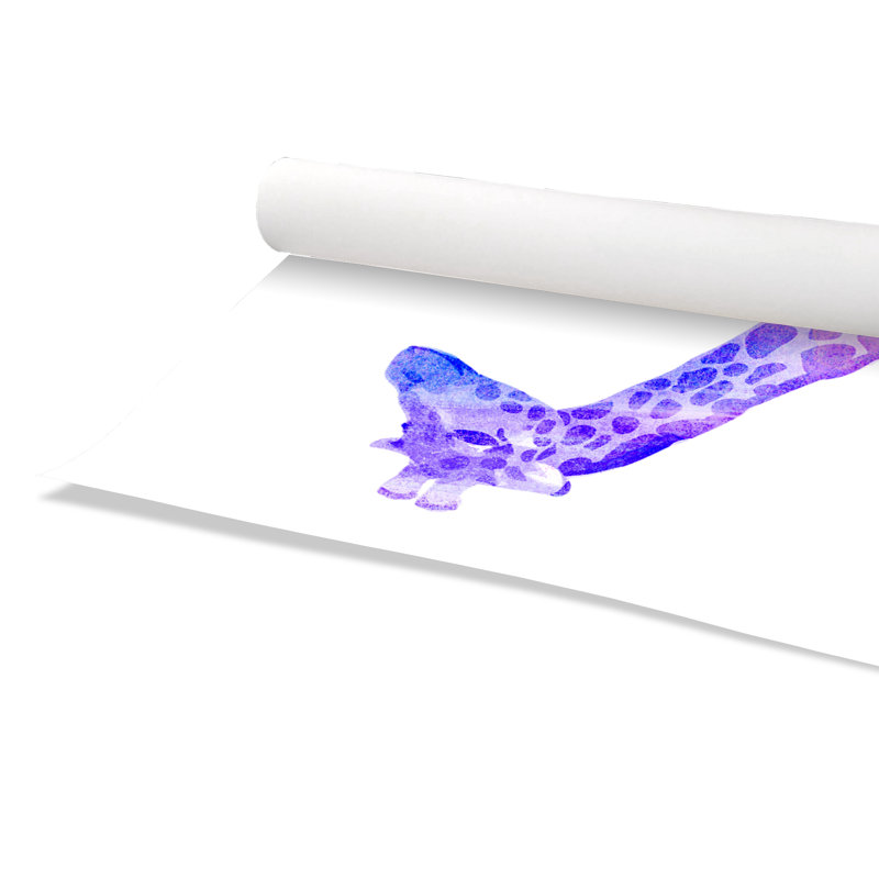Impression sur papier Rolled Dream Big, H 40 po x l 28 po x P 1 po