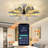 Liel Ceiling Fan with LED Lights