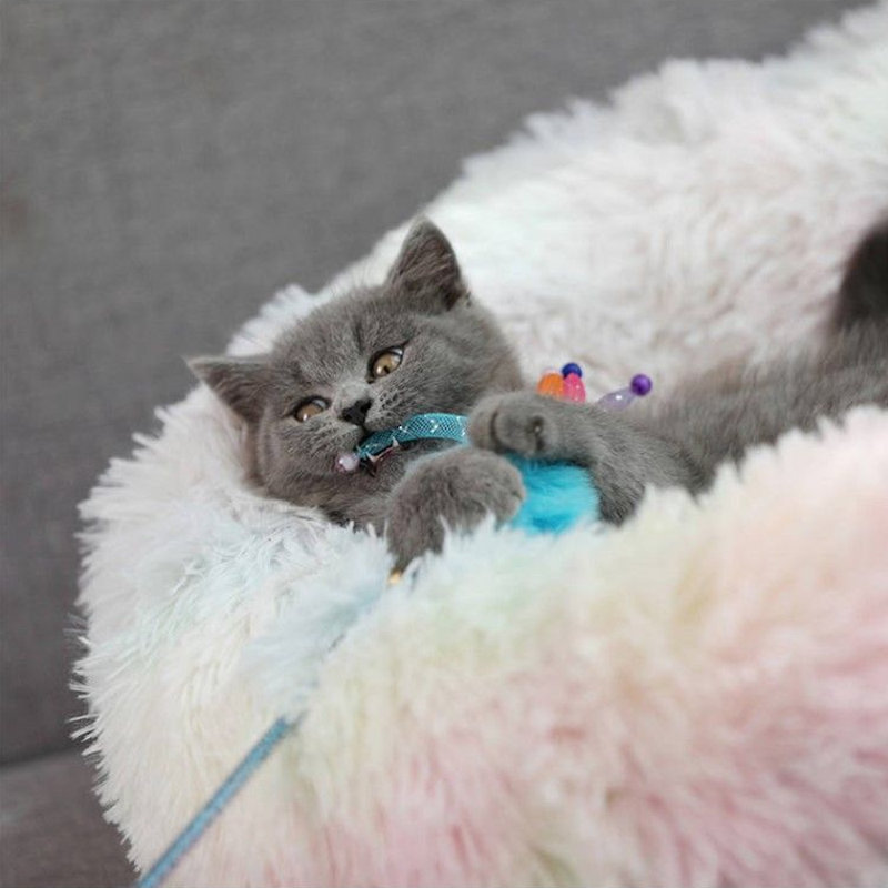 Lit rond pour chat Vinton