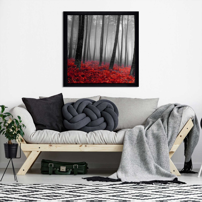 «Autumn Woods I» par Photoinc Studio - photographie, Cadre noir, H 37,5 po x l 37,5 po x P 1 po
