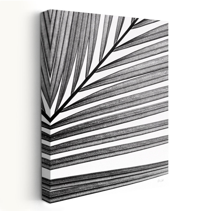 Minimaliste BW Fern III, H 24 po x l 16 po