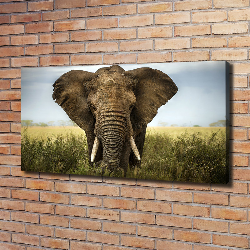 Elephant On The Savanna - Wrapped Canvas Print