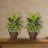 Dieffenbachia Silk Plant with Wood Vase