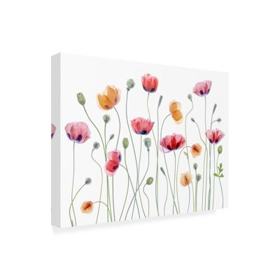 Toile d'extérieur Mandy Disher Pleshette
