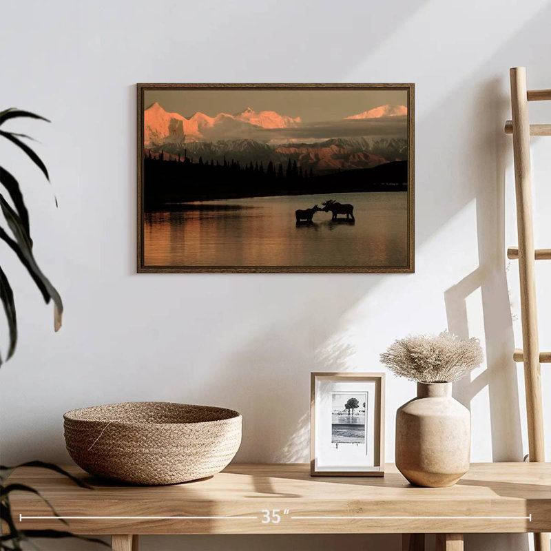 Courting Moose In Wonder Lake, 25 po x 17 po, Cadre flottant noyer
