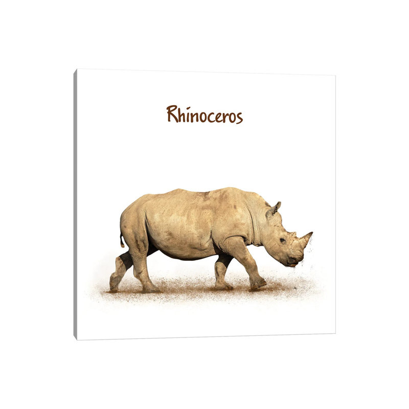 Young Rhinoceros Calf Walking Side On White by Susan Schmitz - Print on Canvas, 45.72 cm H x 45.72 cm W x 3.175 cm D