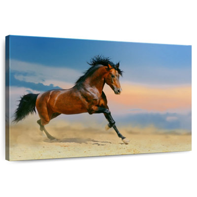 Crowle Galloping Brown Horse