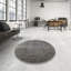 Oriental Indoor Rug-1824534144