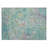 Machine Washable Indoor/Outdoor Brathwaite ACN2166 Abstract Rug-635601340