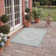 Amedee Performance Oriental Indoor/Outdoor Area Rug