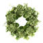Seafoam Green Hydrangea with Budding Flower Wreath