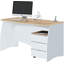 Diora Writing Desk
