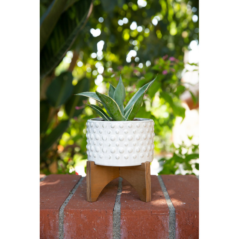 Blanding Handmade Pot Planter, Ivory