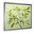 Silver Single Picture Framed