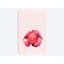 «Lollipop», impression sur toile-32895773-72221995-72221996