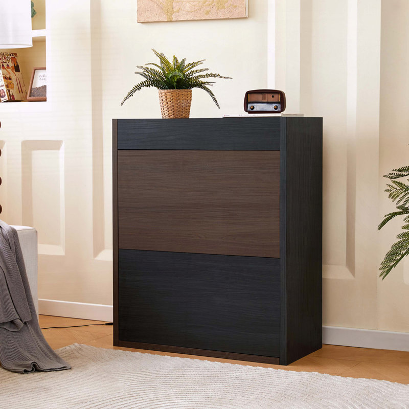 Extendable & Rotating Storage Cabinet