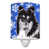 Black and White Collie