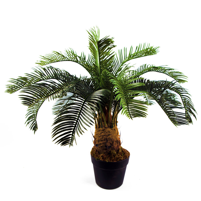 Anlin 60cm Faux Palm Tree in Pot