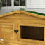 Weather Resistant Rabbit-94282737