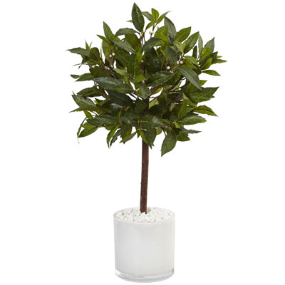 24'' Faux Foliage Tree in Glass Planter