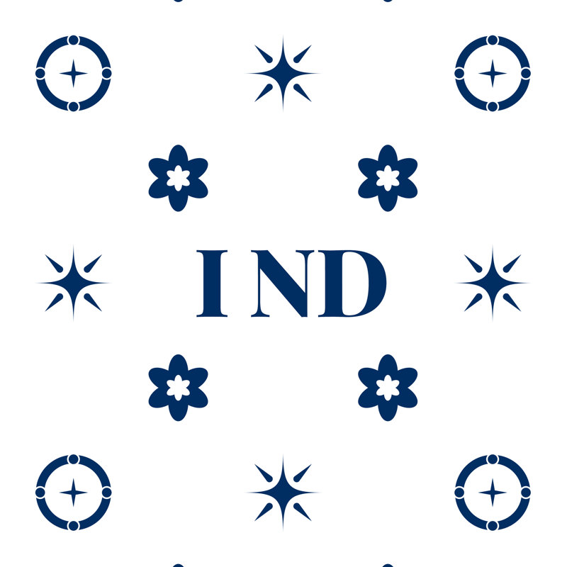 Coussin d'extérieur soufflé et fermé Indianapolis Basketball, Rectangle H 14 po x l 20 po, Blanc / Bleu