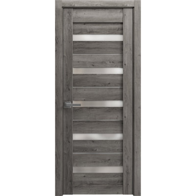Porte de garage prémontée à la française, verre dépoli, Quadro 4445, gris Nebraska, panneau simple, cadre et poignées inclus, pour salle de bain ou chambre à coucher, portes robustes - 81 cm x 203 cm