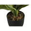 Fausse plante en polypropylène (PP) Maraca 17 po Marrero